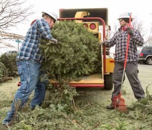 John Byrne/Tribune Sparks city employees David Bresee (left) and Jesse Hon were busy Monday recycling Christmas trees at the Shadow Mountain Sports Complex in Sparks. The trees are turned into mulch and even food for goats through a program overseen by the Keep Truckee Meadows Beautiful organization. The recycling program uses “chippers” from the city of Sparks and other government entities. Residents can recycle trees through Jan. 10 at various drop-off locations.